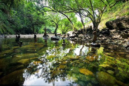 Sage River Psychotherapy (formerly Three Rivers) - Sacramento, California